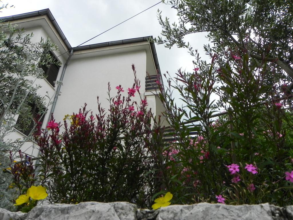 Apartments Katalenic Селце Экстерьер фото